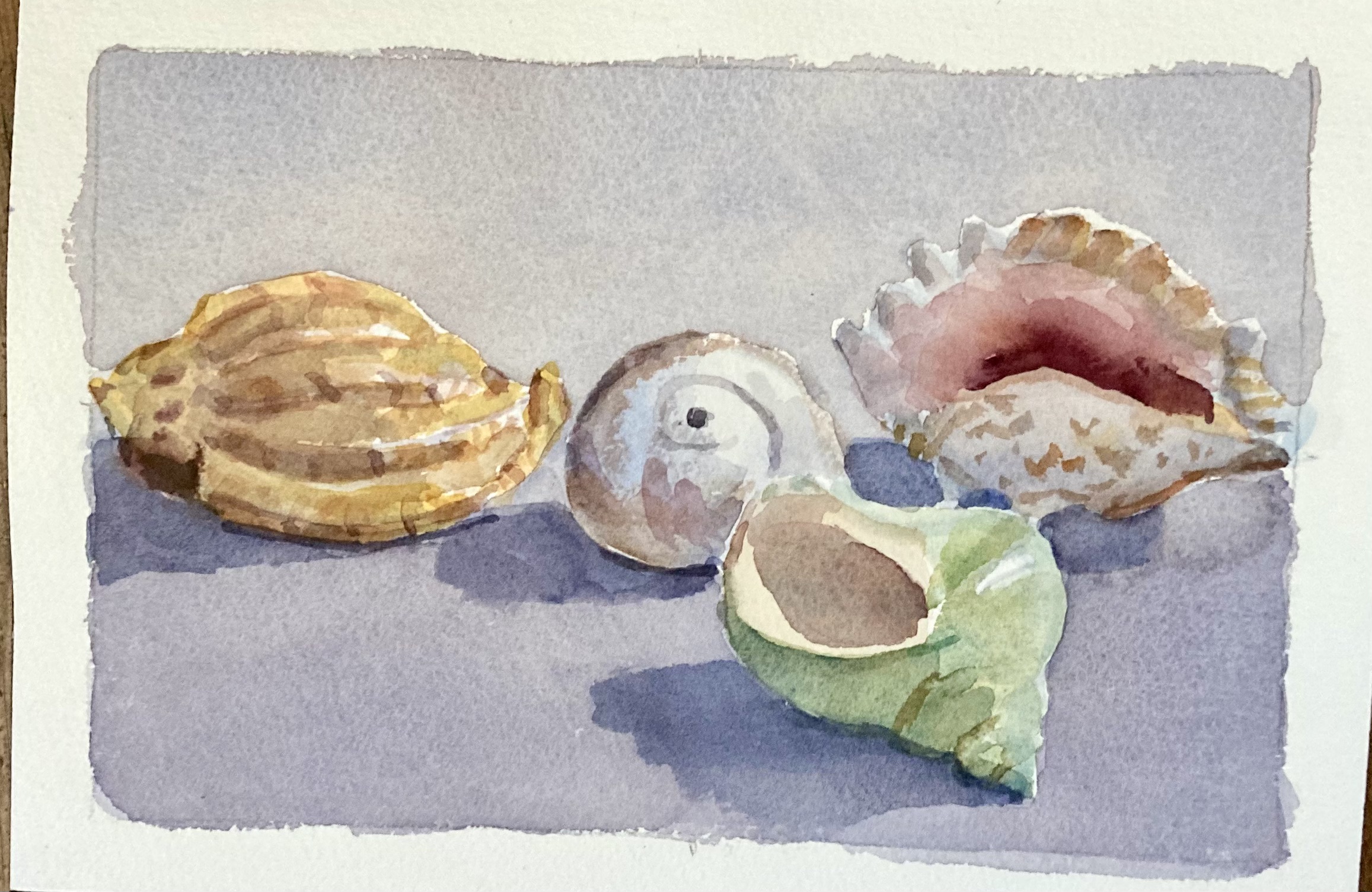 Watercolor, Still Life and Bringing in the Natural World (ZOOM)