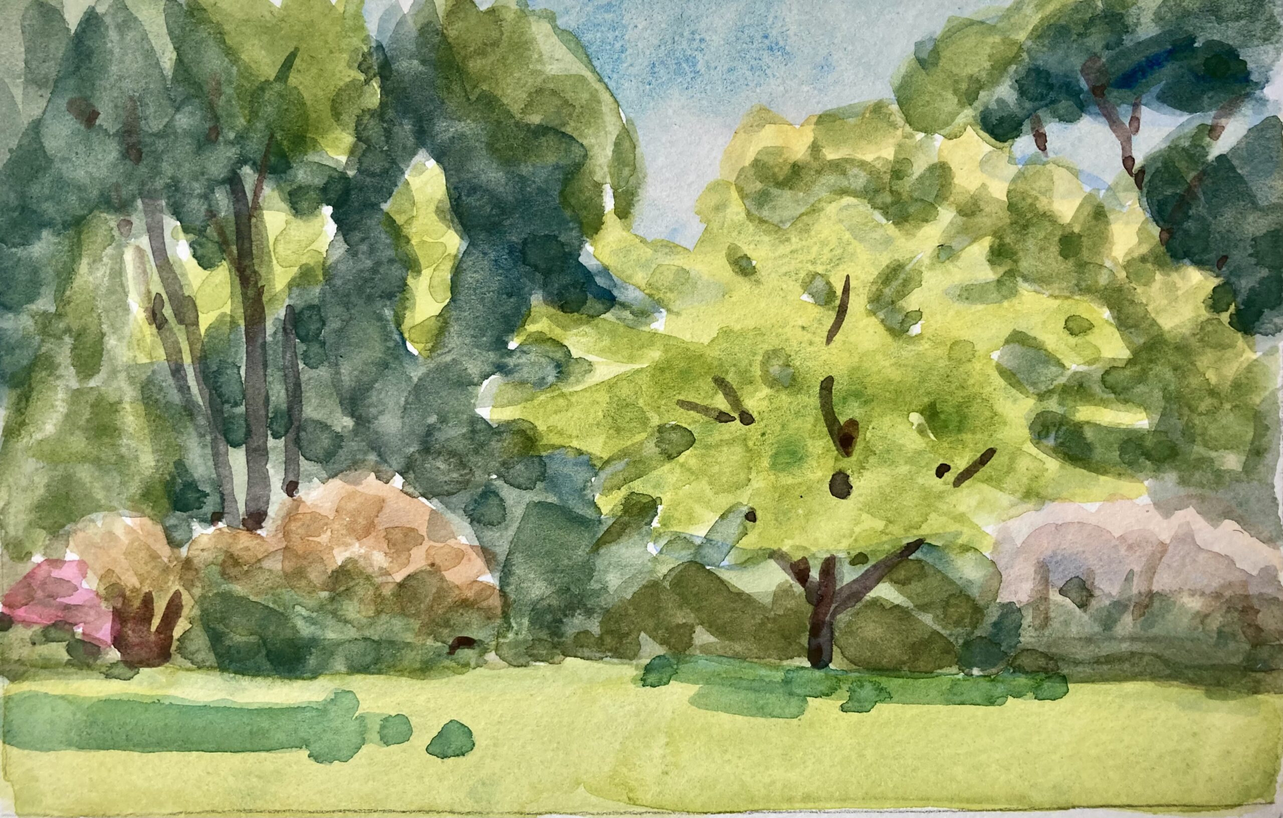 Watercolor en Plein Air (Outside on Location)