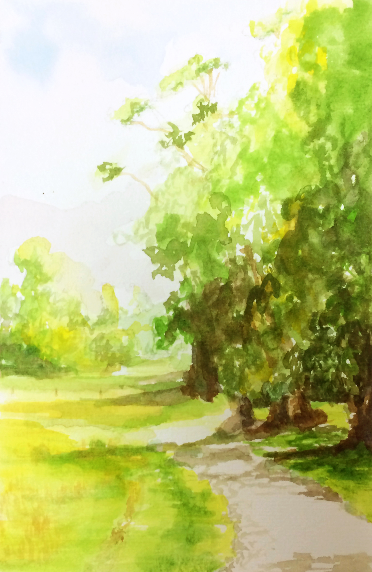 Intro to Watercolor