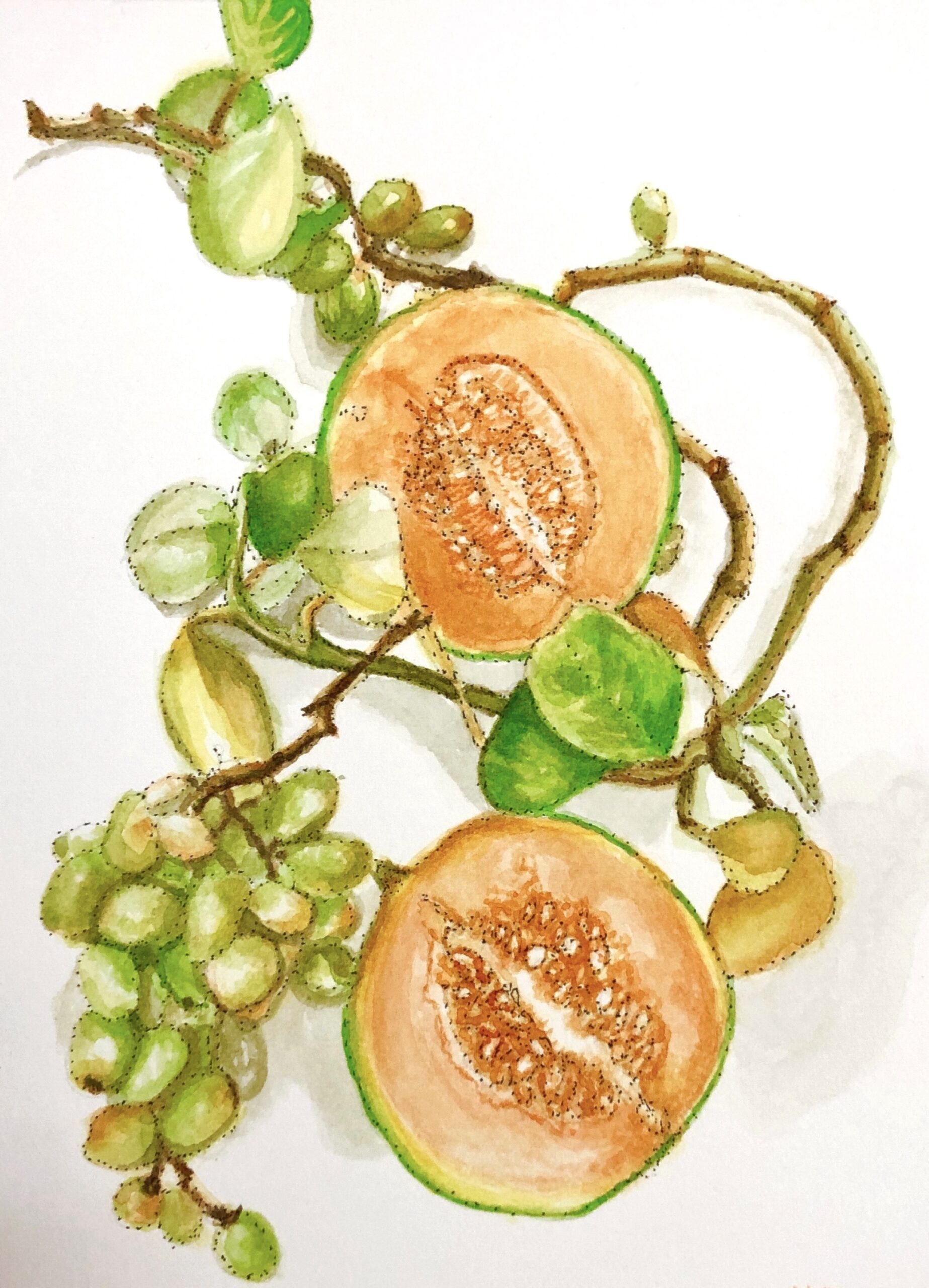 CLASS IS FULL: Explorations in Watercolor