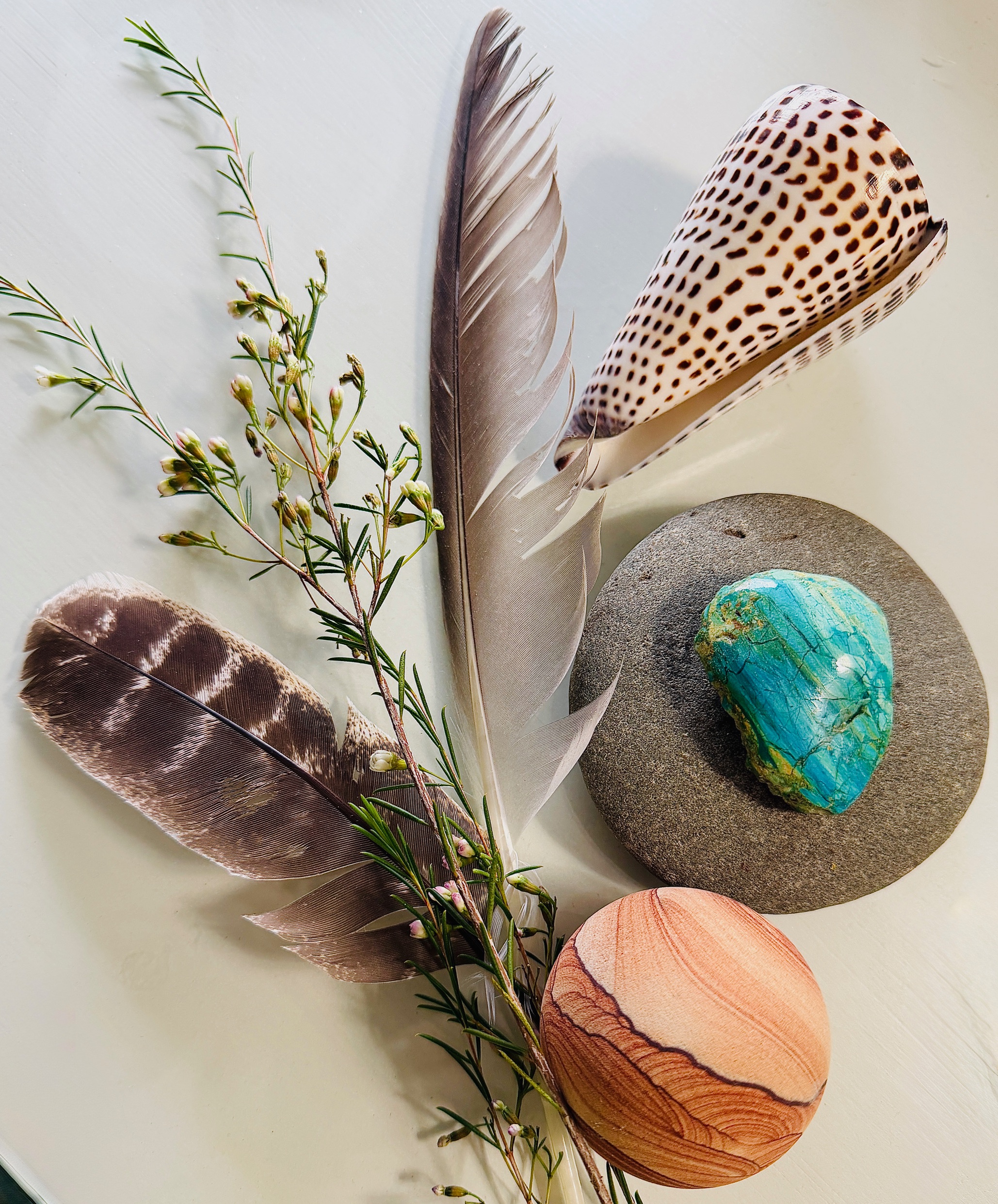 Drawing and Painting Nature's Treasures