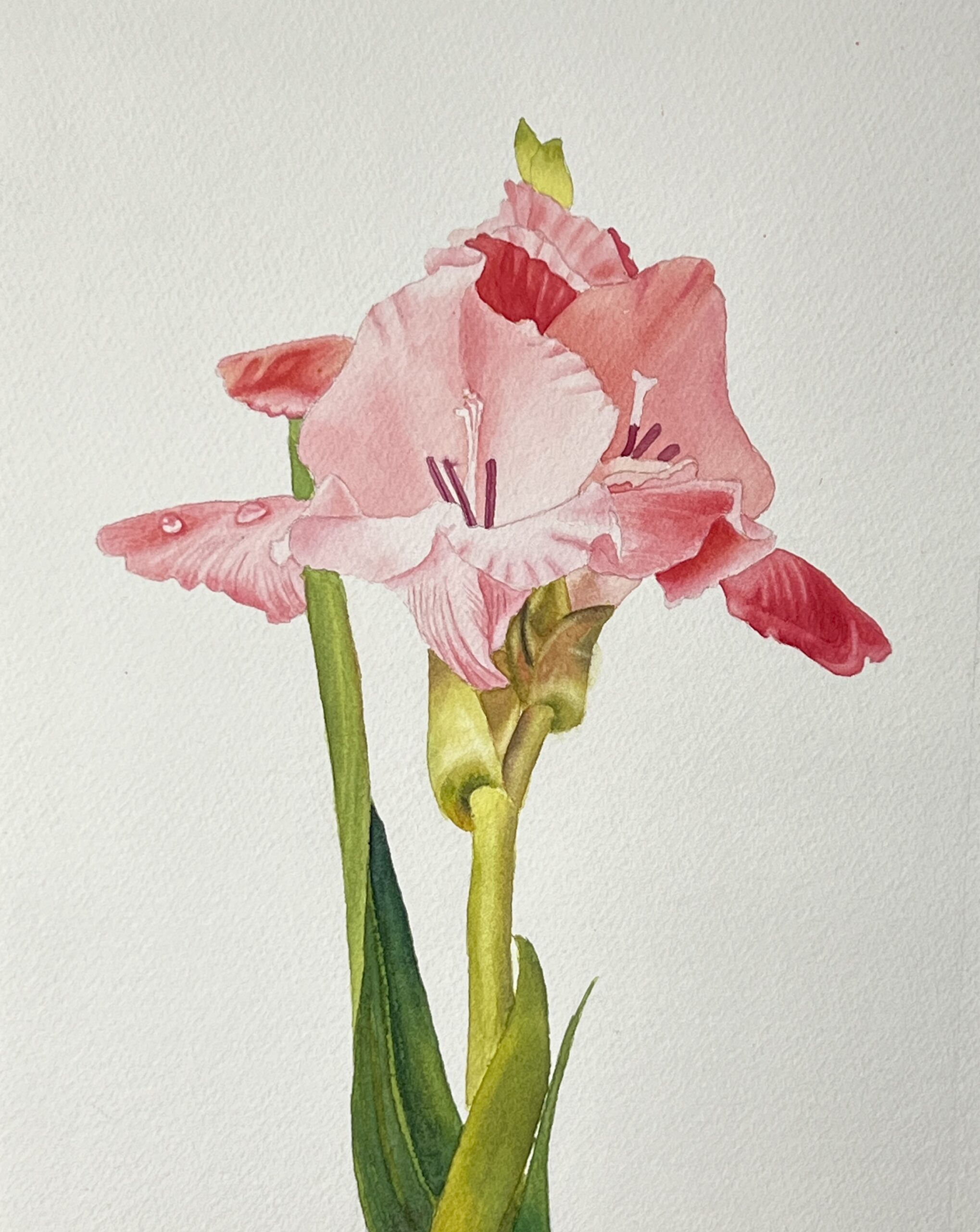Watercolor for Beginners and Beyond - NEW DATES!